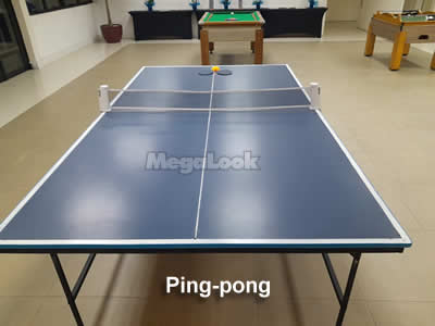 Mesa de Ping Pong